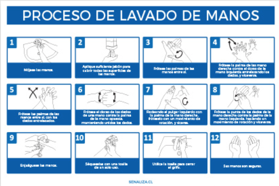 Proceso de Lavado de Manos